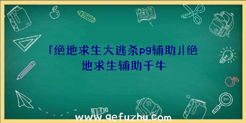 「绝地求生大逃杀pg辅助」|绝地求生辅助千牛